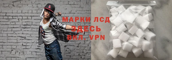 амф Горняк