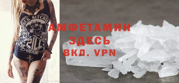 амф Горняк