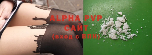 амф Горняк