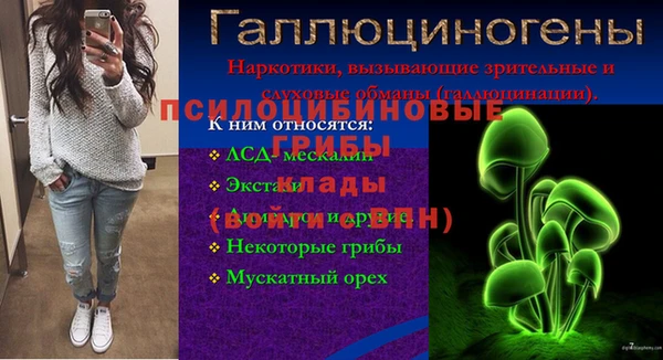 амф Горняк