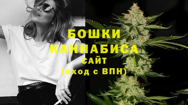 не бодяженный Горно-Алтайск
