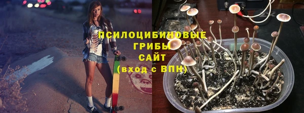 сатива Вязьма