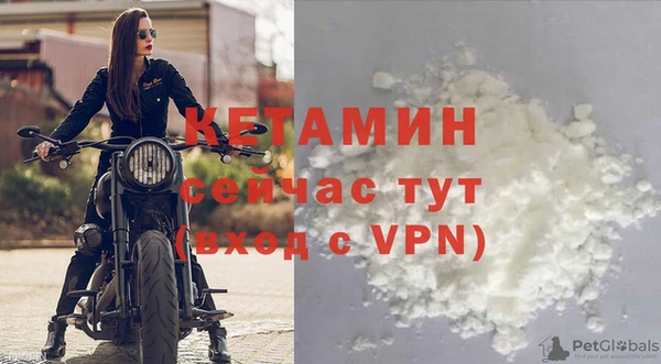 амф Горняк