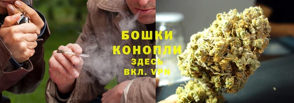 первитин Вяземский