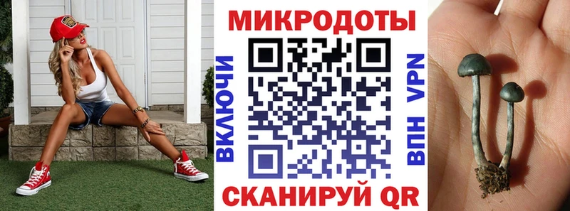 Псилоцибиновые грибы Magic Shrooms  Полесск 